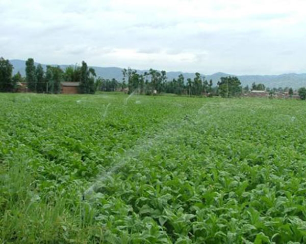 成都自动化灌溉